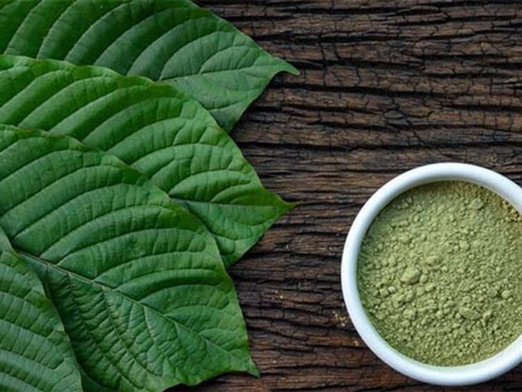 What is Kratom Tea?: Is It Safe & What Are It's Side-Effects?