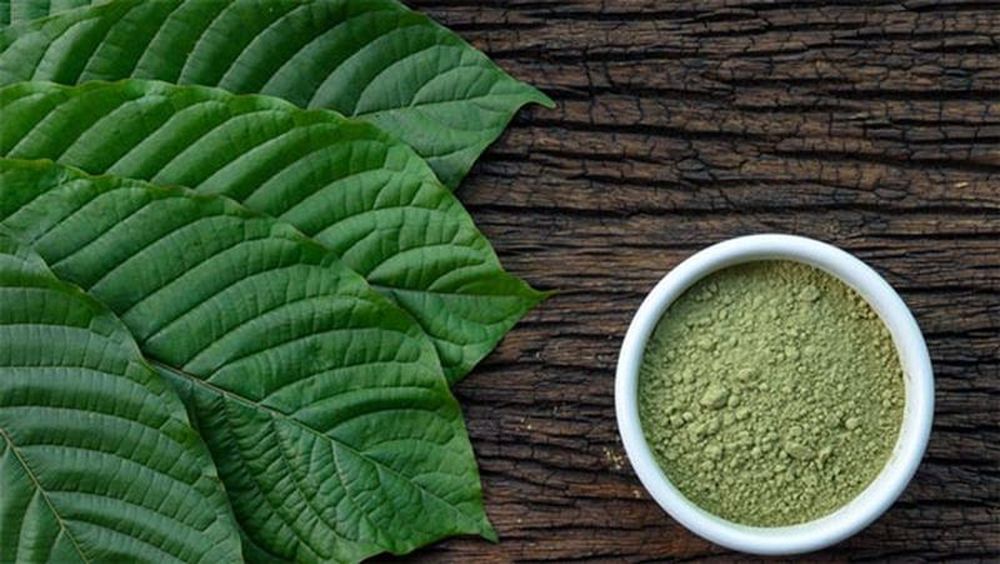 What is Kratom Tea?: Is It Safe & What Are It's Side-Effects?