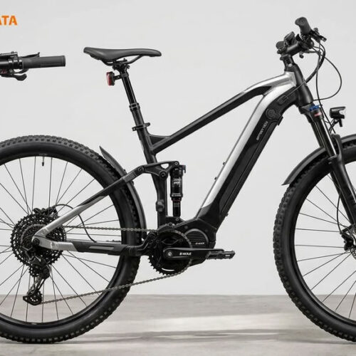 Електровелосипеди: моделі, представлені в Motoblok-TATA