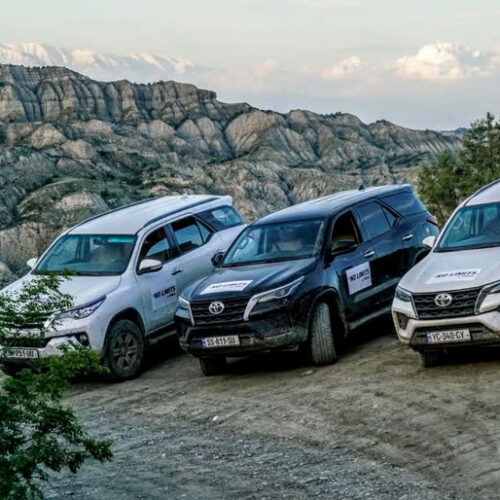 Car rental in Georgia for independent travel